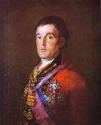 Francisco Jose de Goya Portrait of the Duke of Wellington. France oil painting reproduction